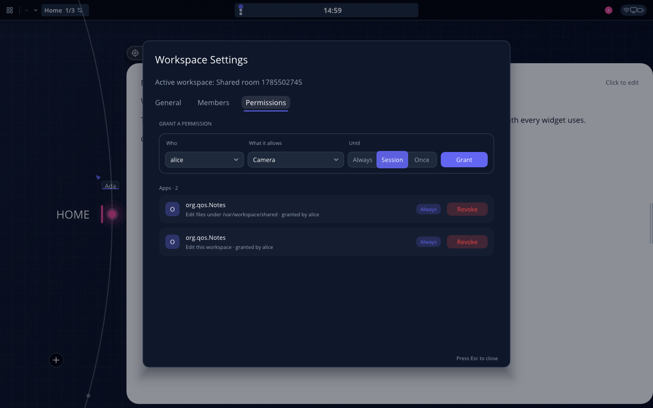 Workspace permissions: a grant row with who, what it allows, and an Until choice of Always, Session or Once; below it the standing grants, each naming who granted it, with a Revoke button